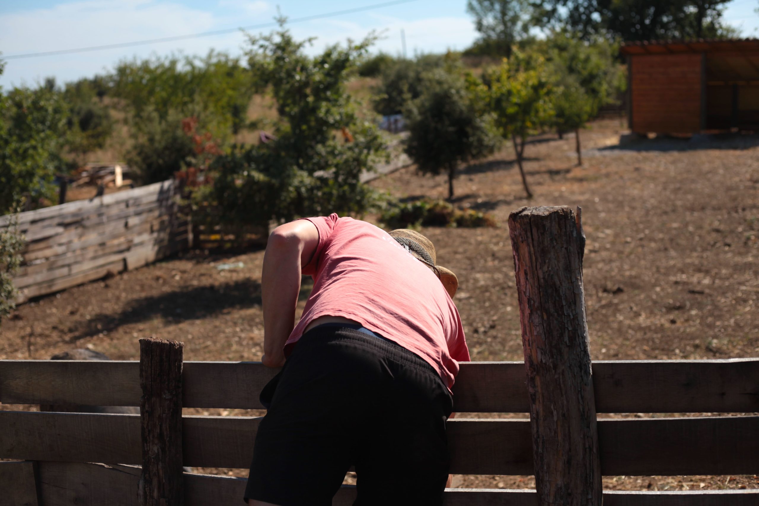 /biodynamie-un-vin-lunaire