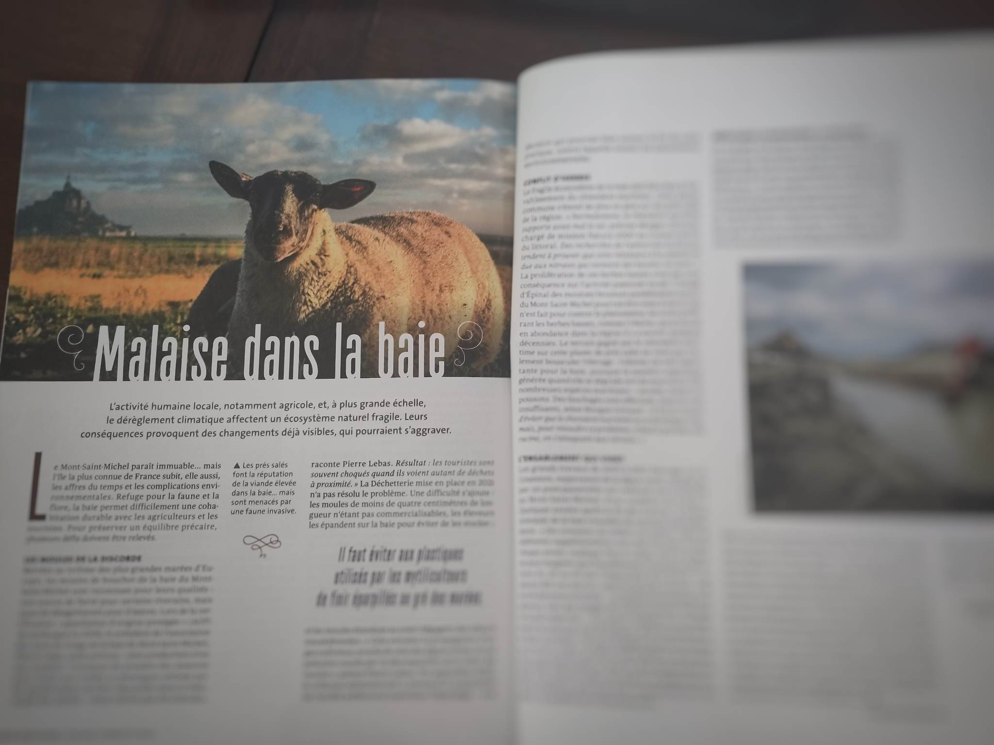 la-vie-malaise-dans-la-baie